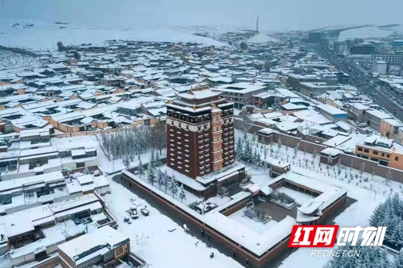  甘南高原上的奔赴