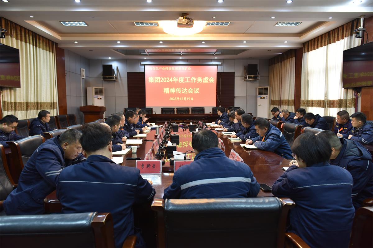  新龙矿业迅速传达贯彻公司2024年度工作务虚会精神